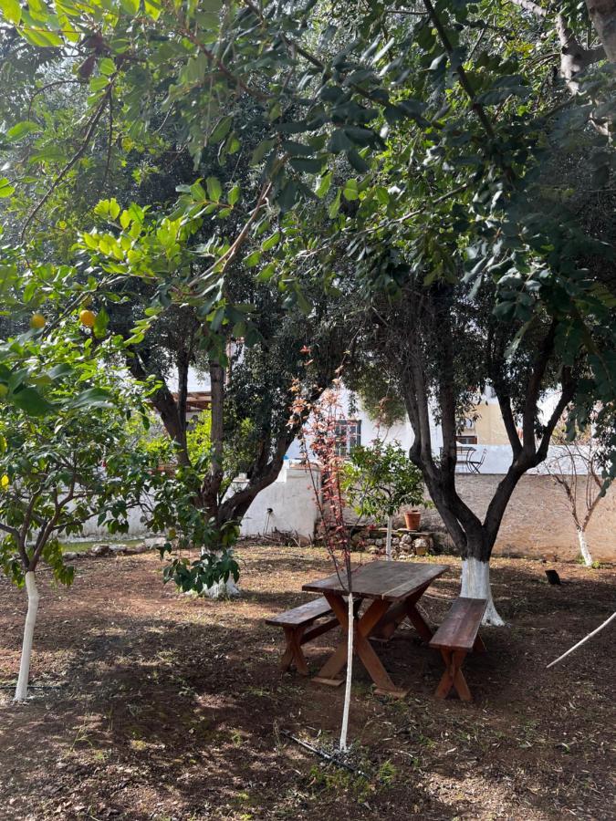 Two Olive Trees Guest House Spétses Екстериор снимка