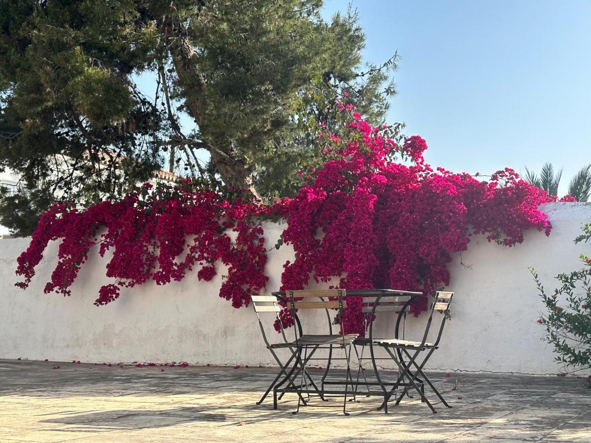 Two Olive Trees Guest House Spétses Екстериор снимка
